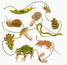 Load image into Gallery viewer, Forest Floor - Paper Garland - Hissing Mink