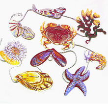 Load image into Gallery viewer, Tide Pool - Paper Garland - Hissing Mink