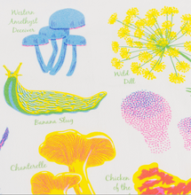 Load image into Gallery viewer, Tea Towels - Vibrant Life Foraging series - Porchlight Press