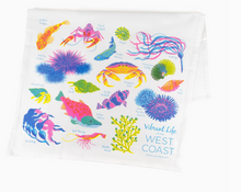 Load image into Gallery viewer, Tea Towels - Vibrant Life Foraging series - Porchlight Press