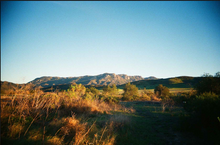 Load image into Gallery viewer, Kodak UltraMax 400 - 36 Exposures