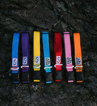 Load image into Gallery viewer, Dog Collar - Regular Size - Cold Surf