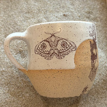 Load image into Gallery viewer, Paige Coull Pottery - Nova Mug
