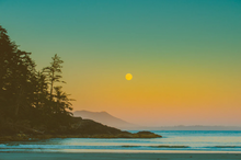 Load image into Gallery viewer, Coastal Colours - Circa 1983 - Cedar Framed Art Print Canvas
