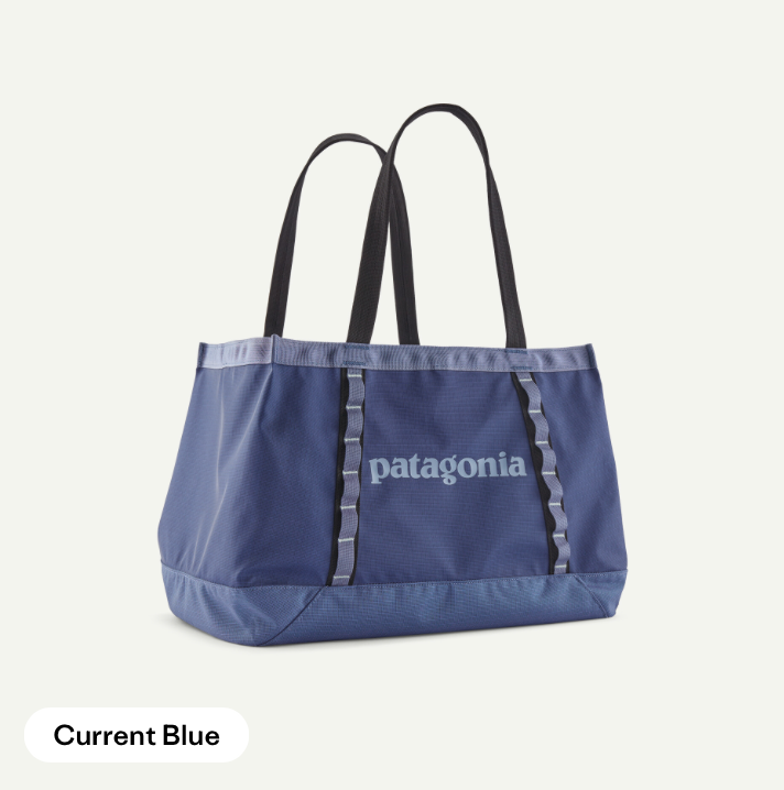 Black Hole Tote 25L - Current Blue- Patagonia