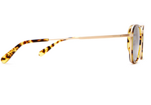 Load image into Gallery viewer, Groove Pilot - Crap Eyewear
