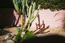 Load image into Gallery viewer, Dubblefilm Bubblegum 400 - 36 Exposures
