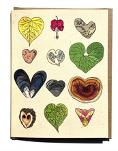 Load image into Gallery viewer, Greeting Cards- Wild Life
